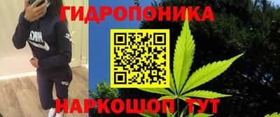 стаф Партизанск