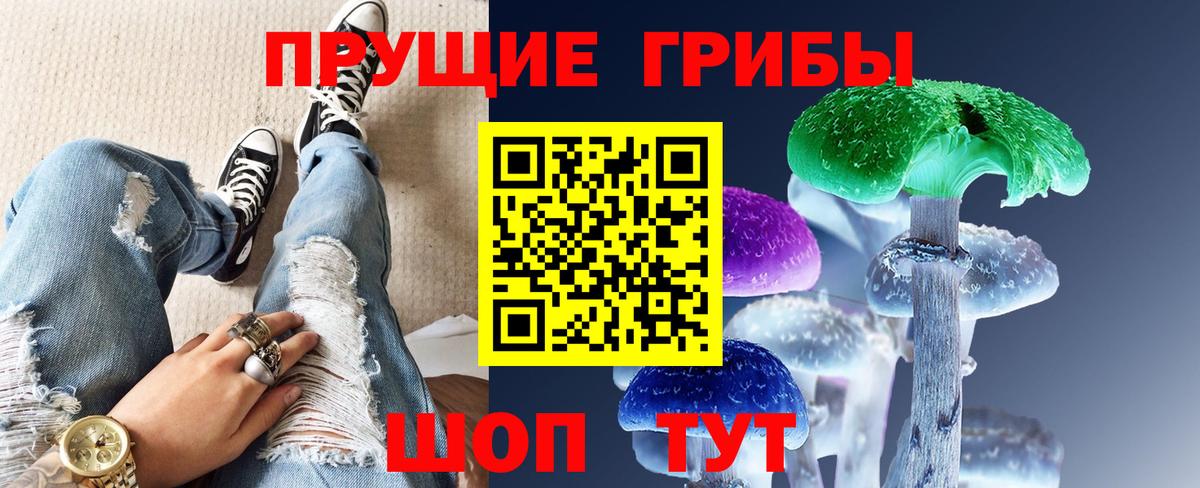 Псилоцибиновые грибы Psilocybe  Вход с VPN  Петрозаводск  Галлюциногенные грибы Cubensis 